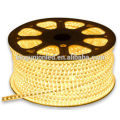 Kingunionled CE & RoHS 50M/Lot 60LED/M SMD RGB 3528 220v LED Strip IP66 Waterproof 220V